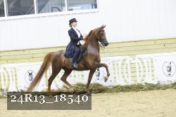 24R13_18540 thumbnail