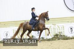 24R13_18541 thumbnail