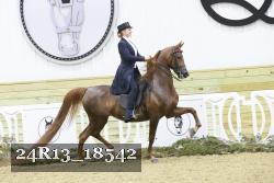 24R13_18542 thumbnail