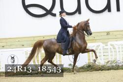 24R13_18543 thumbnail