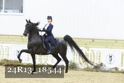 24R13_18544 thumbnail