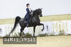 24R13_18545 thumbnail