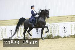 24R13_18546 thumbnail