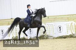 24R13_18547 thumbnail