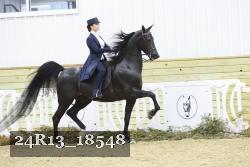 24R13_18548 thumbnail