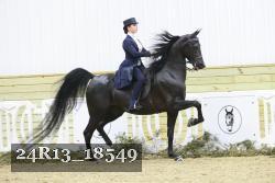 24R13_18549 thumbnail