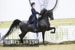 24R13_18550 thumbnail
