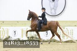24R13_18553 thumbnail
