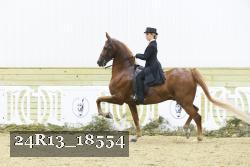 24R13_18554 thumbnail