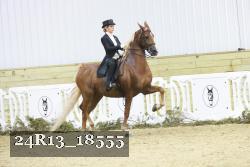 24R13_18555 thumbnail