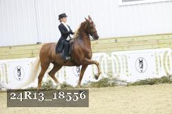 24R13_18556 thumbnail