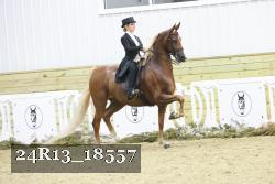 24R13_18557 thumbnail