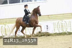 24R13_18558 thumbnail