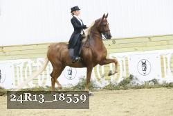 24R13_18559 thumbnail