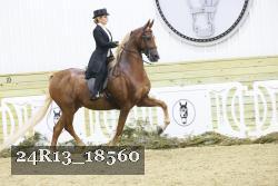 24R13_18560 thumbnail