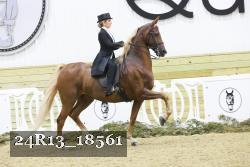 24R13_18561 thumbnail