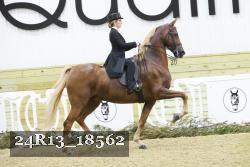 24R13_18562 thumbnail