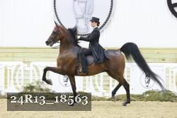 24R13_18563 thumbnail