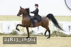 24R13_18564 thumbnail