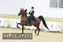 24R13_18565 thumbnail