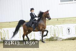 24R13_18567 thumbnail