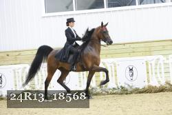 24R13_18568 thumbnail