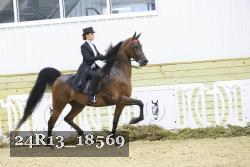 24R13_18569 thumbnail