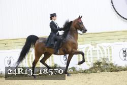 24R13_18570 thumbnail