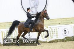 24R13_18571 thumbnail