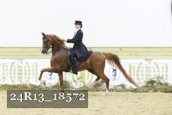 24R13_18572 thumbnail