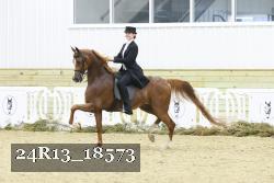 24R13_18573 thumbnail