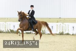 24R13_18574 thumbnail