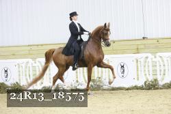 24R13_18575 thumbnail