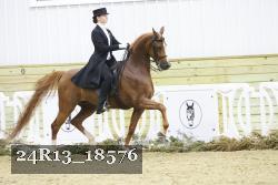 24R13_18576 thumbnail