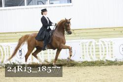 24R13_18577 thumbnail