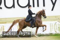 24R13_18578 thumbnail