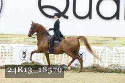 24R13_18579 thumbnail