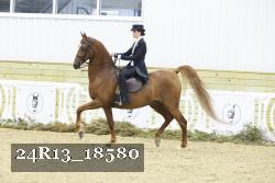 24R13_18580 thumbnail