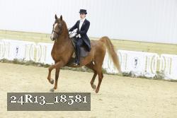 24R13_18581 thumbnail