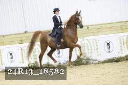 24R13_18582 thumbnail