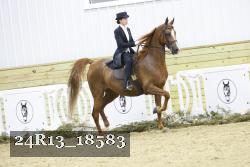 24R13_18583 thumbnail