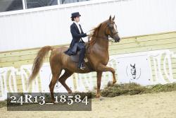 24R13_18584 thumbnail