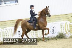 24R13_18585 thumbnail
