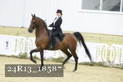 24R13_18587 thumbnail