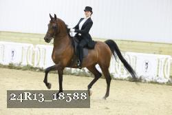 24R13_18588 thumbnail
