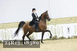 24R13_18589 thumbnail