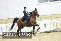 24R13_18590 thumbnail