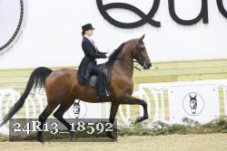 24R13_18592 thumbnail
