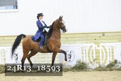 24R13_18593 thumbnail