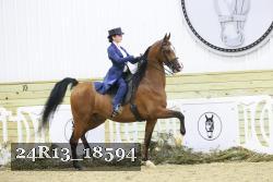 24R13_18594 thumbnail